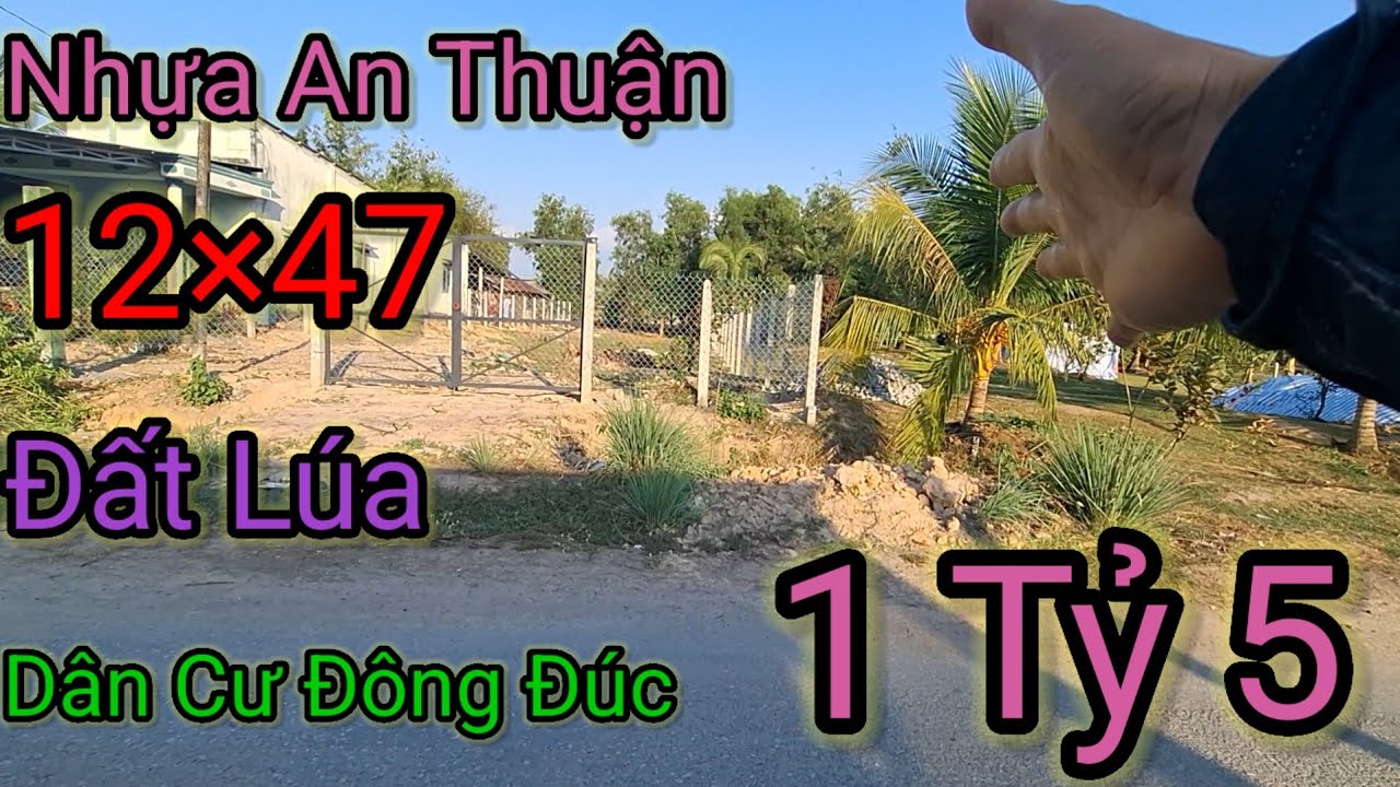 ĐẤT MT NHỰA HIỆP HÒA TÂY NINH 12×47 ĐẤT LÚA 1 TỶ 5 KHU KINH DOANH BUÔN BÁN
