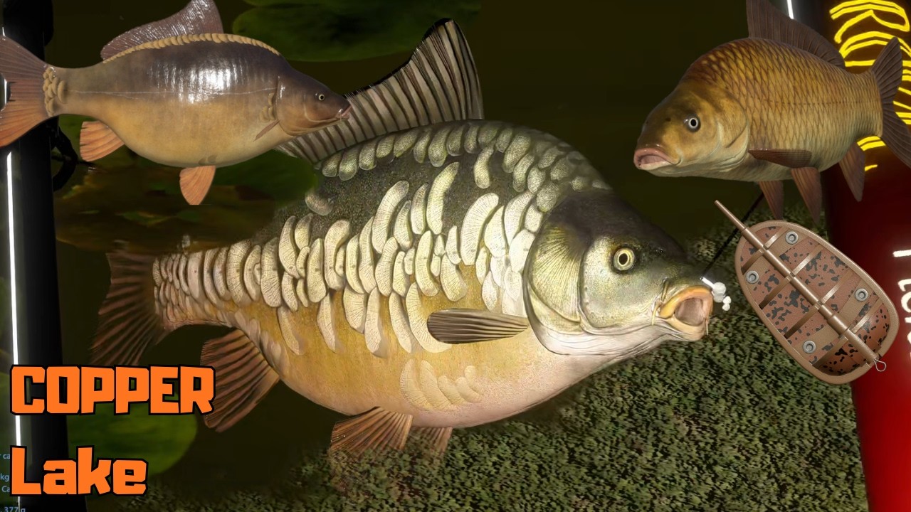 Dinks carp spot & F1 Copper Lake (154) | Russian Fishing 4
