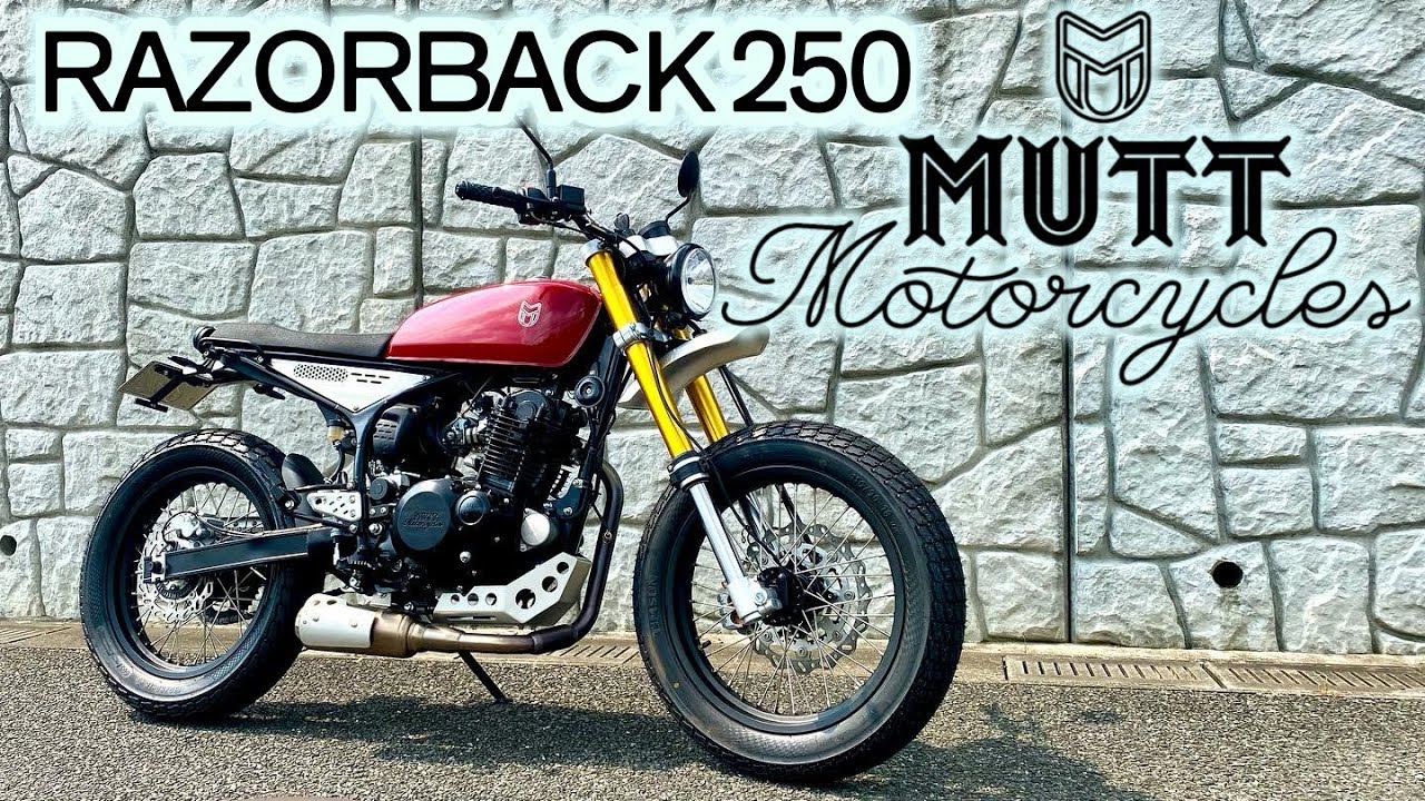【MUTTmotorcycle】スクランブラーカスタムコンセプトのレイザーバック250【RAZORBACK】【コンプリートカスタム】