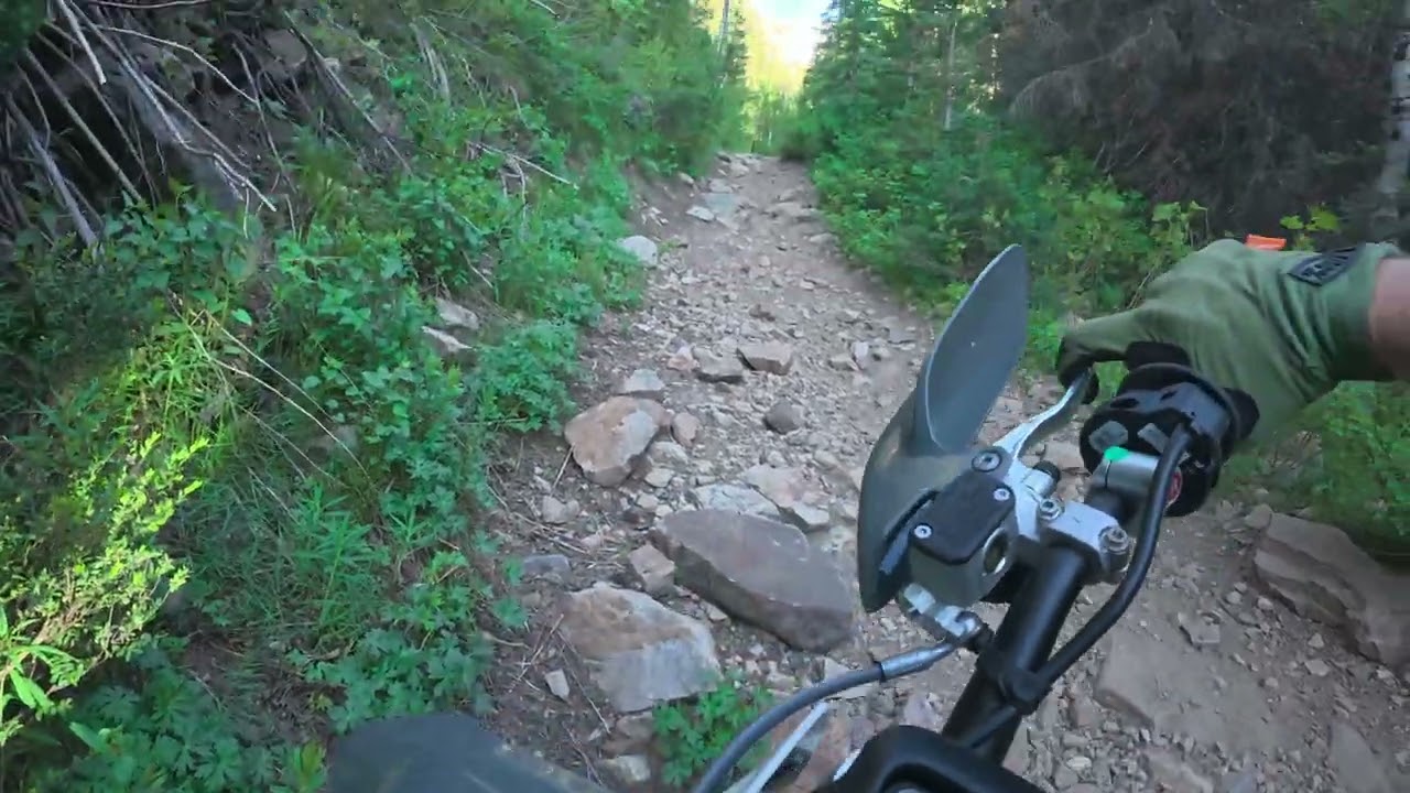 Stark Varg EX up Mineral Fork