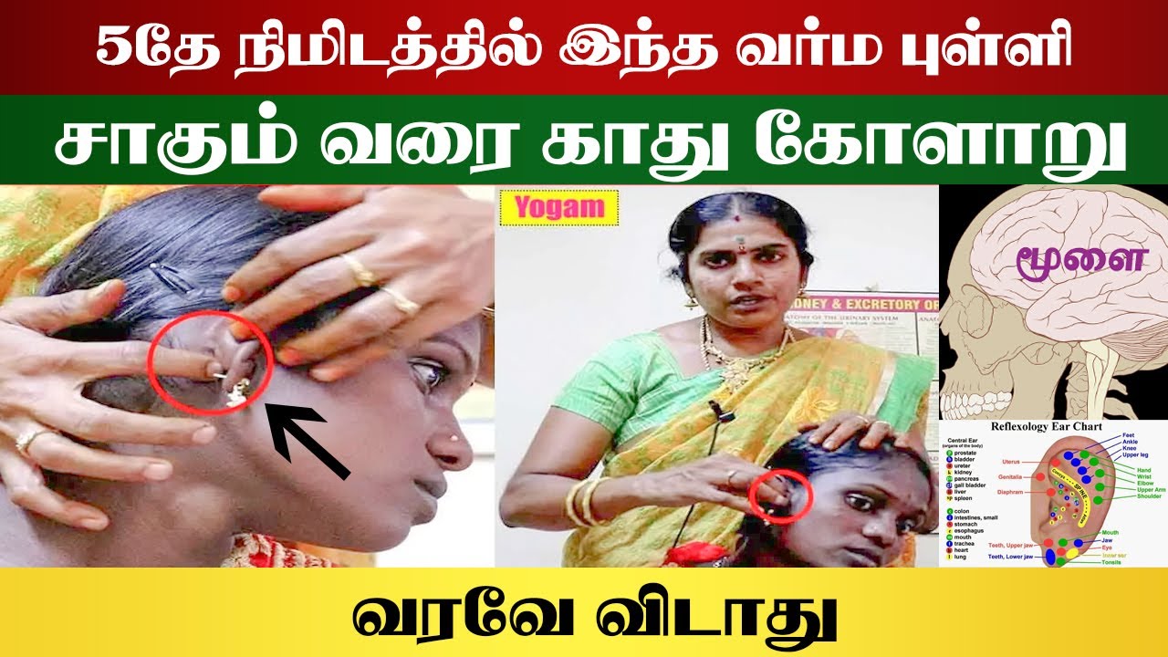 5தே நிமிடம் இந்த வர்மத்தை செய்தால் போதும் சாகும் வரை காது கோளாறே வராது | Yogam | யோகம்