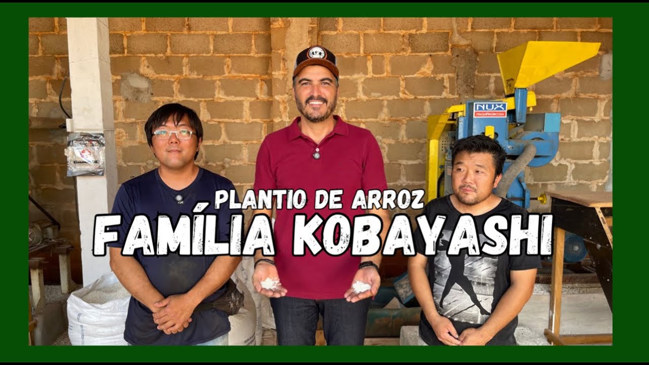 TRADIÇÃO, SUPERAÇÃO E ARROZ ARTESANAL | A HISTÓRIA DOS IRMÃOS KOBAYASHI EM MOMBUCA – GUATAPARÁ/SP
