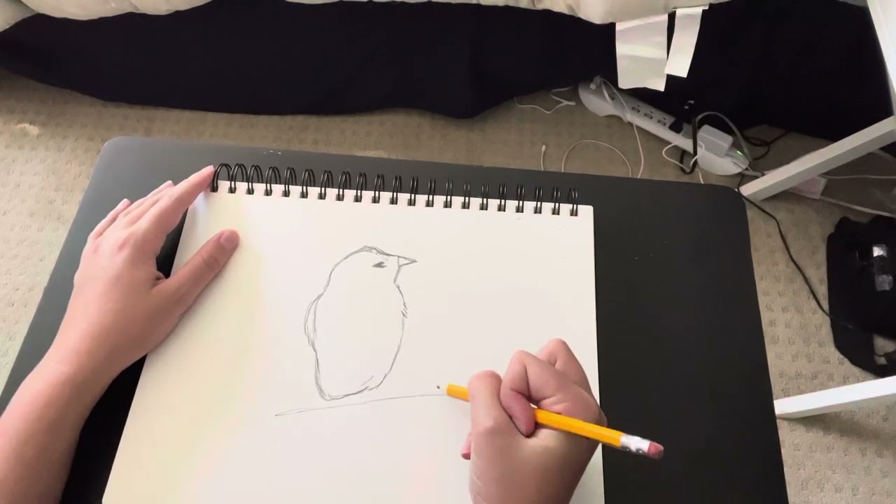 ASMR Pencil Sketching