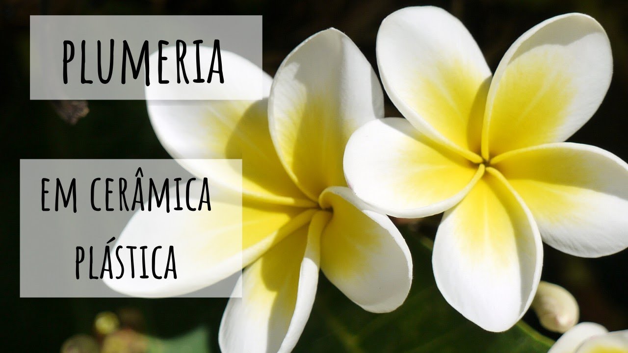 Tutorial - Flor plumeria em Ceramica Plástica
