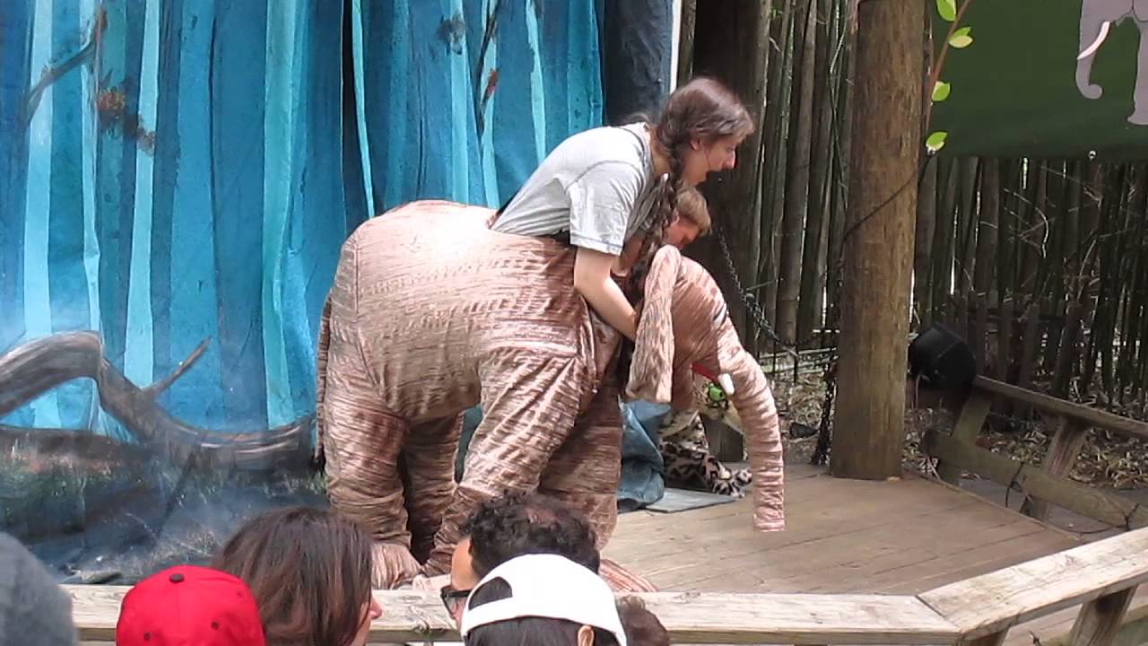 Fimi's Forest Adventure at the Bronx Zoo