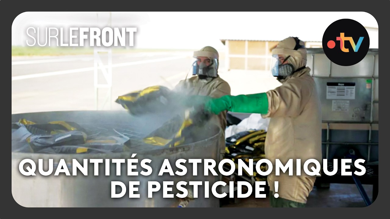Regardez d’où vient le coton de nos vêtements 😱 - Sur le front avec Hugo Clément 15 septembre 2025