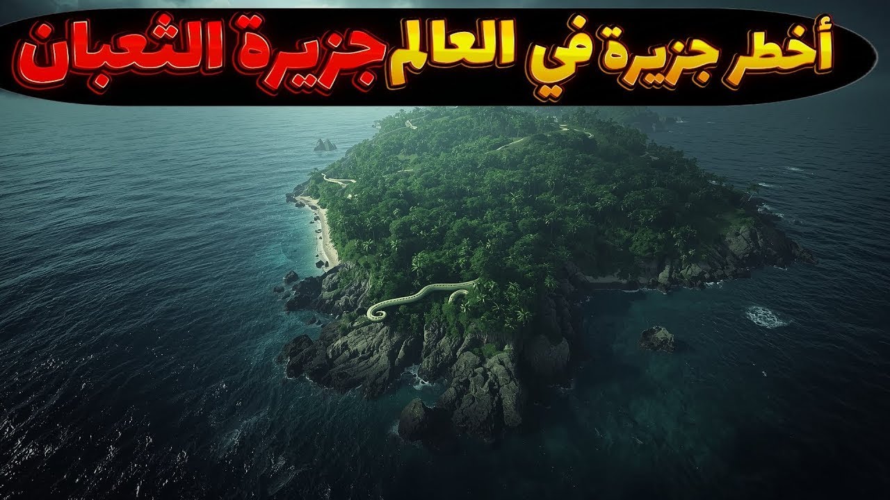 جزيرة الثعابين | حيث لا يجرؤ أحد أو يُسمح له بالذهاب😱