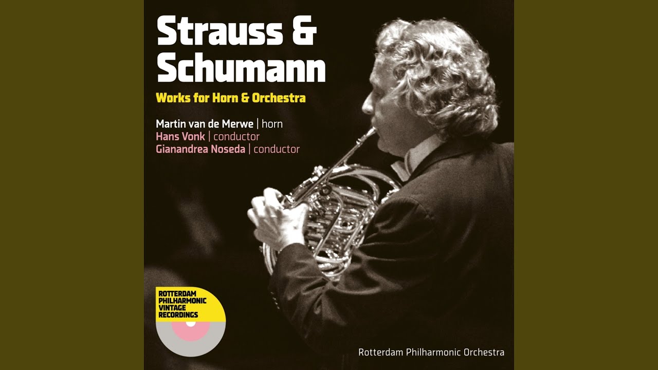 Horn Concerto No. 1 in E-Flat Major, Op. 11: I. Allegro
