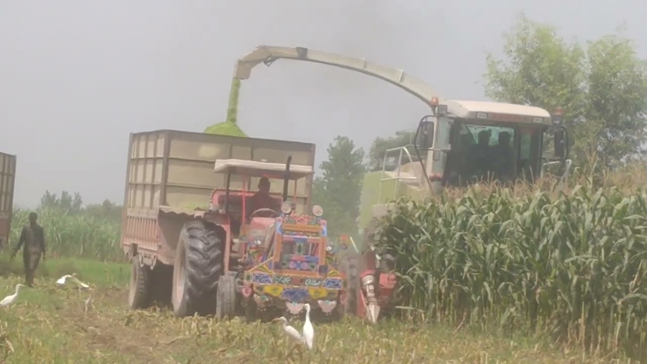 Salj Bannay Wali  Machine