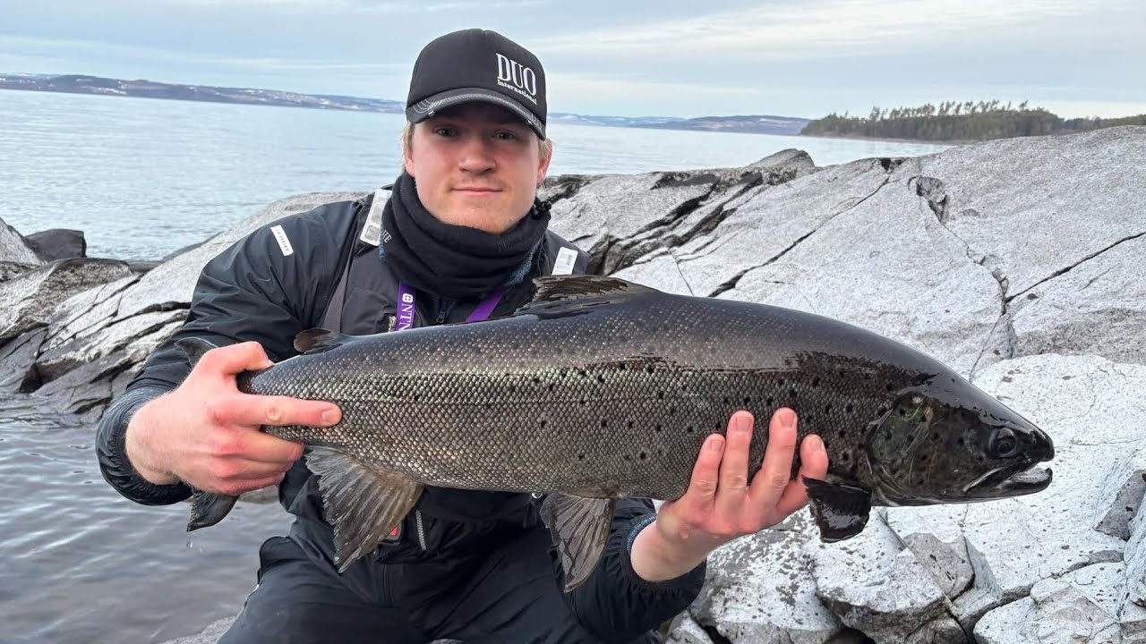 &Oslash;rretfiske i Mj&oslash;sa | Troutfishing in Mj&oslash;sa (En realistisk tur)