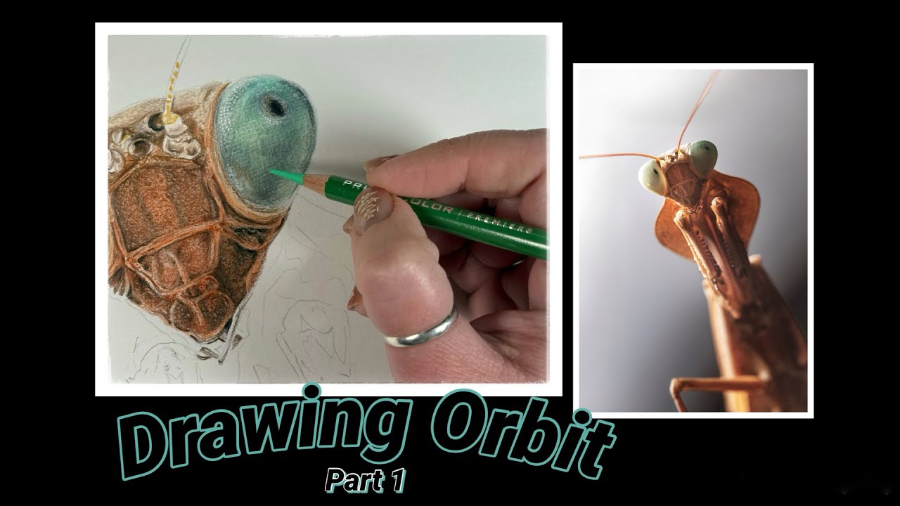 Drawing techniques I use while drawing my praying mantis Orbit’s eye