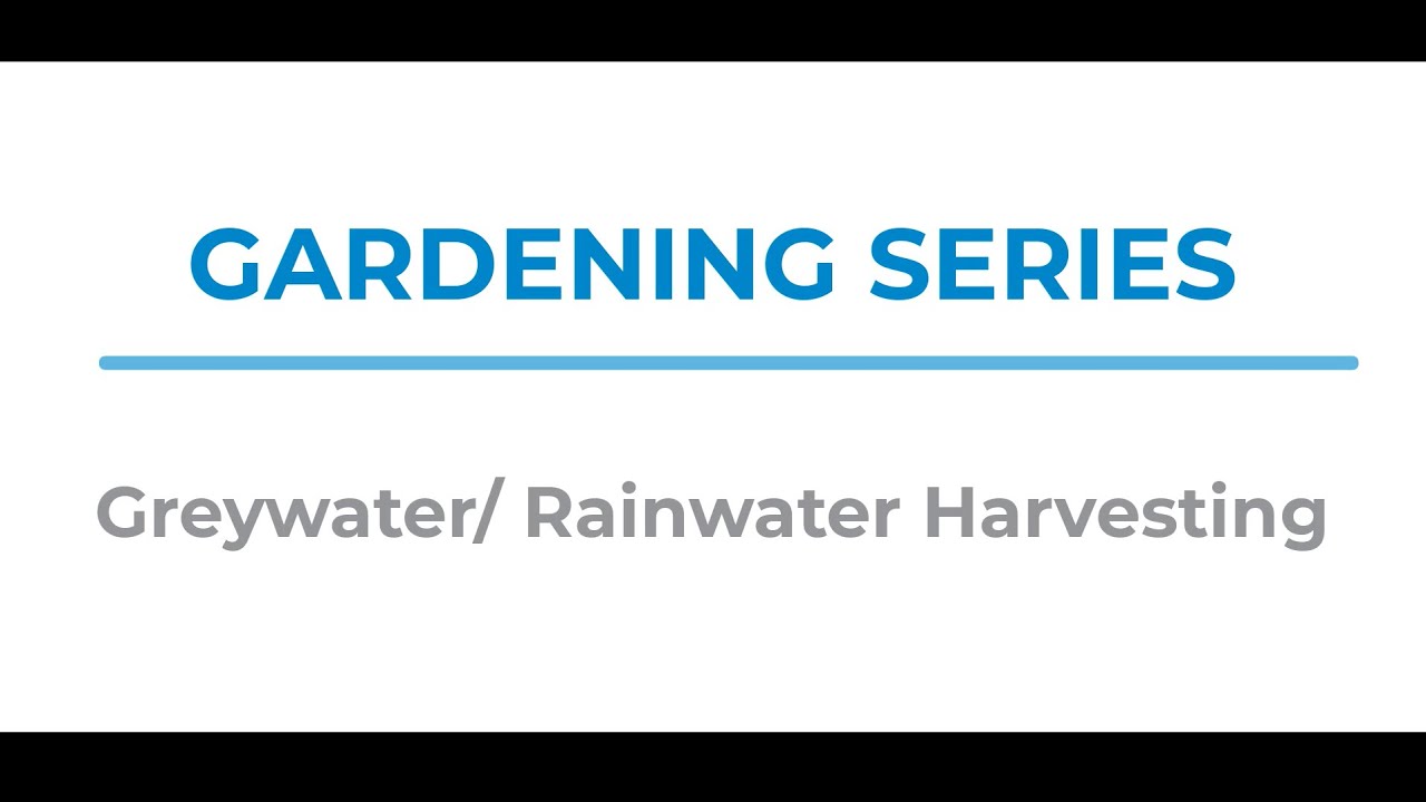 Gardening Series 2021: Greywater/ Rainwater Harvesting