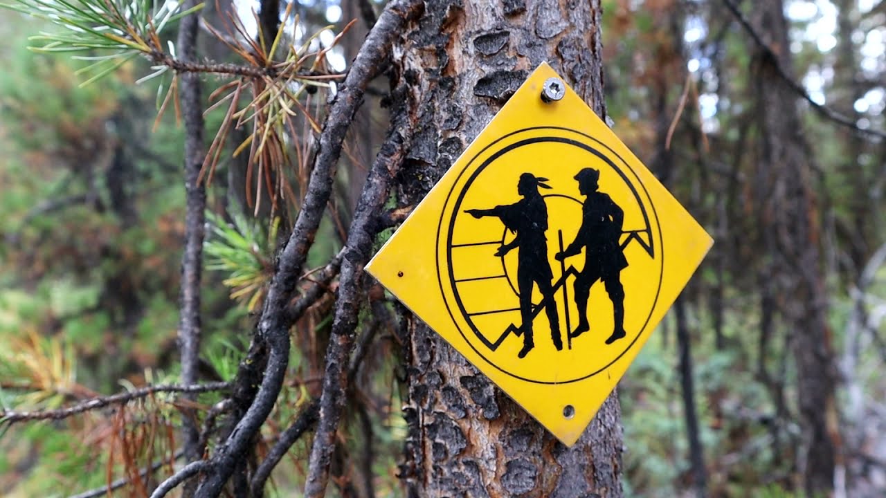 Alexander Mackenzie Heritage Trail 4x4 Trip 2021