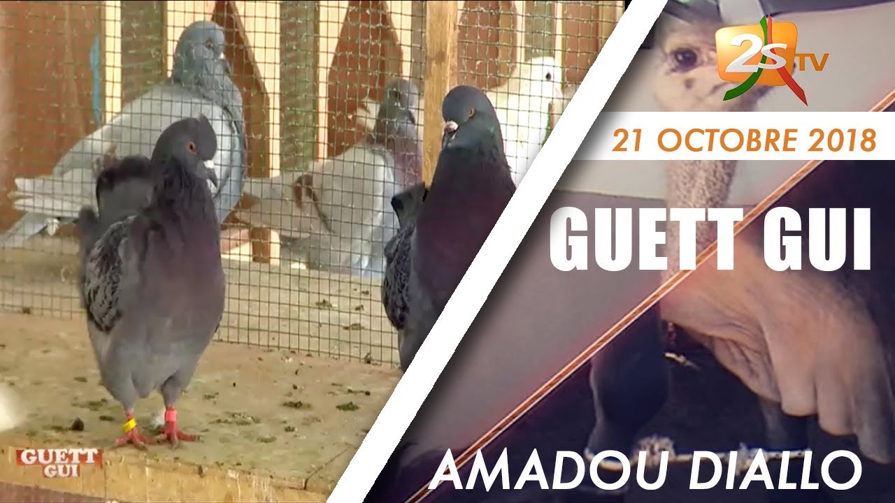 GUETT GUI DU 21 OCTOBRE 2018 AVEC AMADOU DIALLO