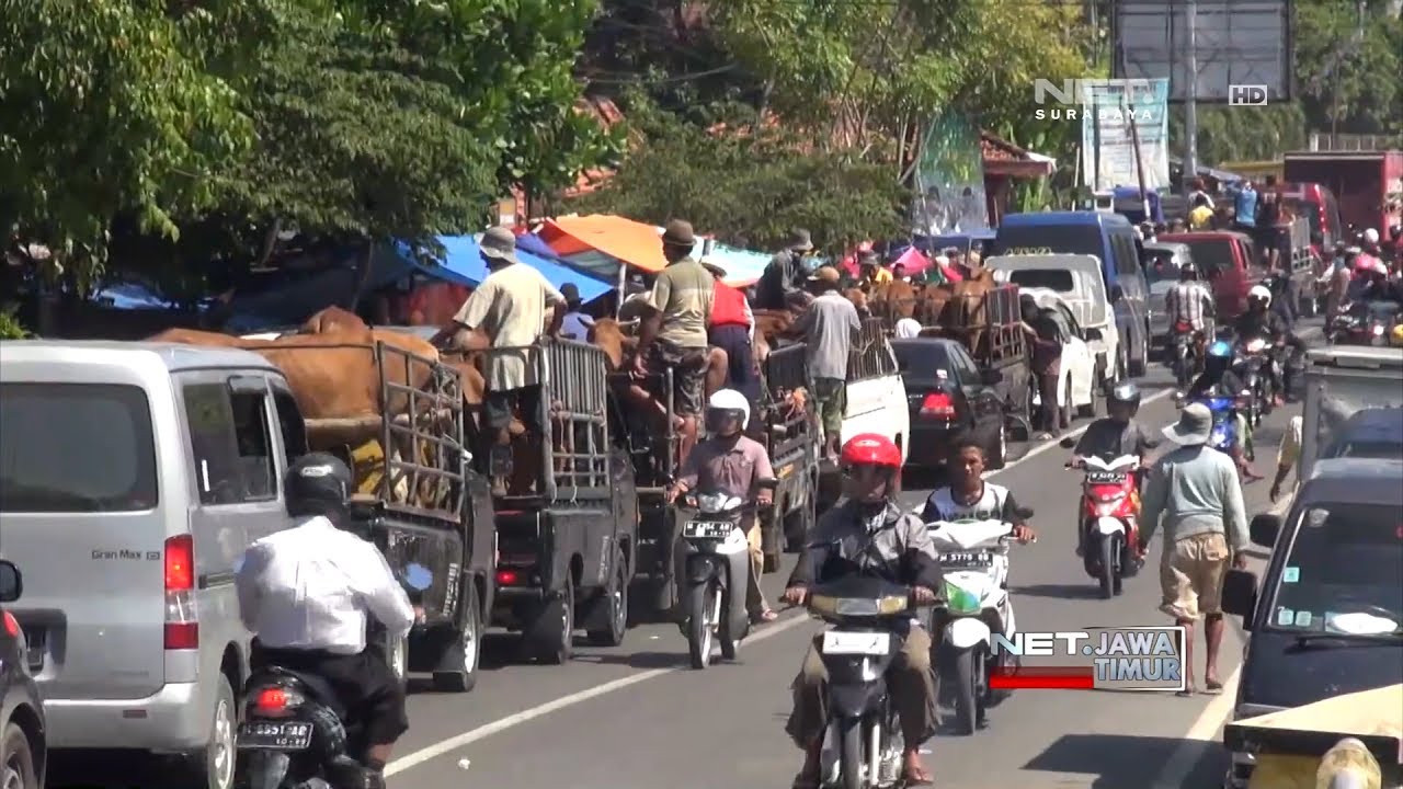 NET. JATIM - PASAR HEWAN AKIBATKAN JALUR MUDIK PAMEKASAN MACET