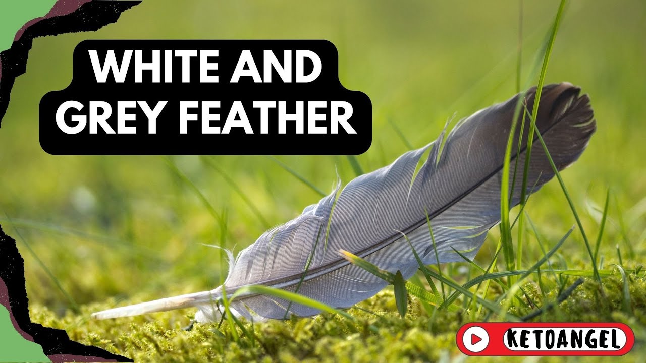 The Spiritual Meaning of White and Grey Feathers