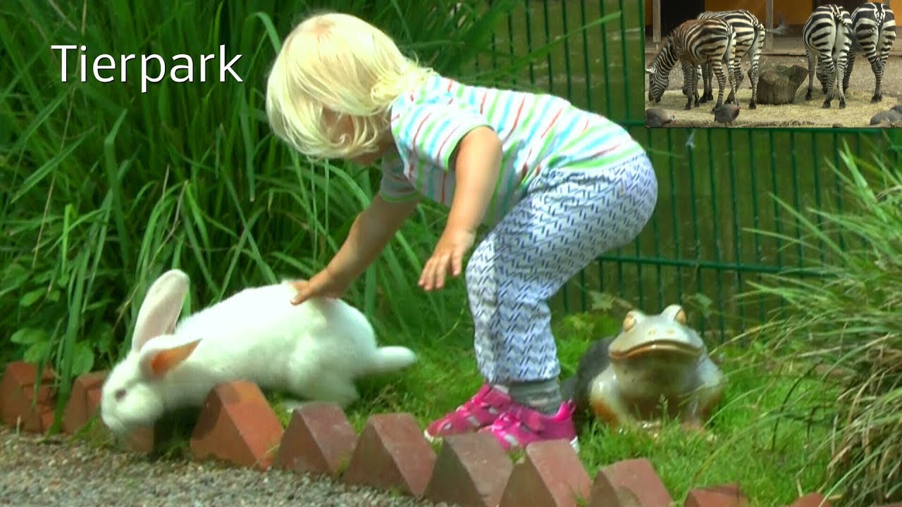 Tierpark Bad Pyrmont erleben