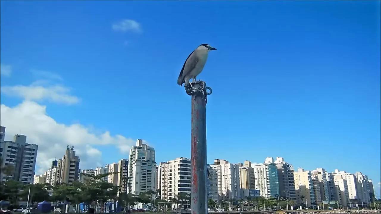 Florianópolis - Avenida Beira Mar Norte