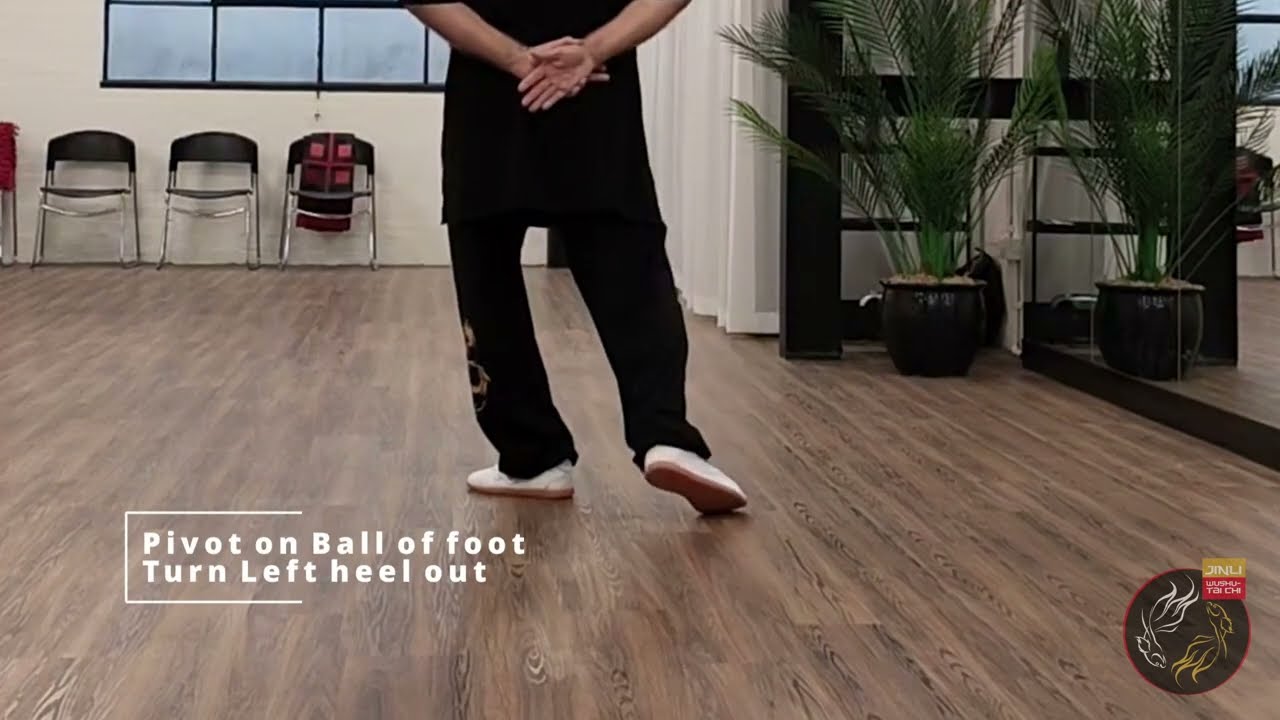 YANG-9 TAI CHI BEGINNER 1ST SECTION SUPPLEMENTAL VIDEO
