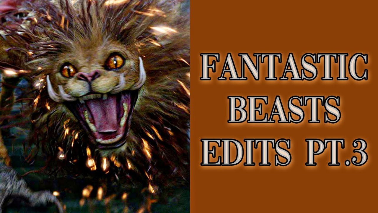 Fantastic Beasts edits 🧡 Pt.3