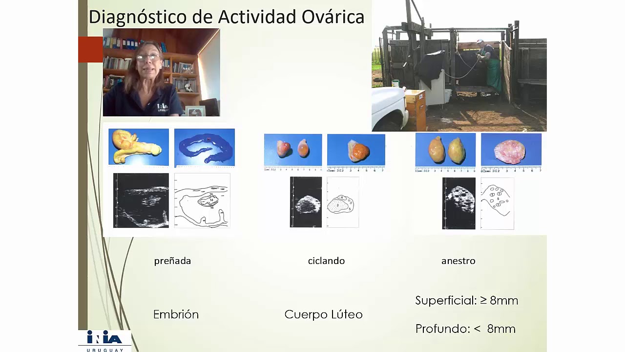 Jornada 