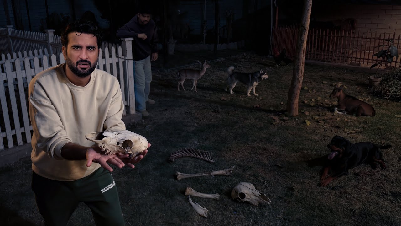 Mini Zoo Main Animals ki Bones Black Magic ? 😭