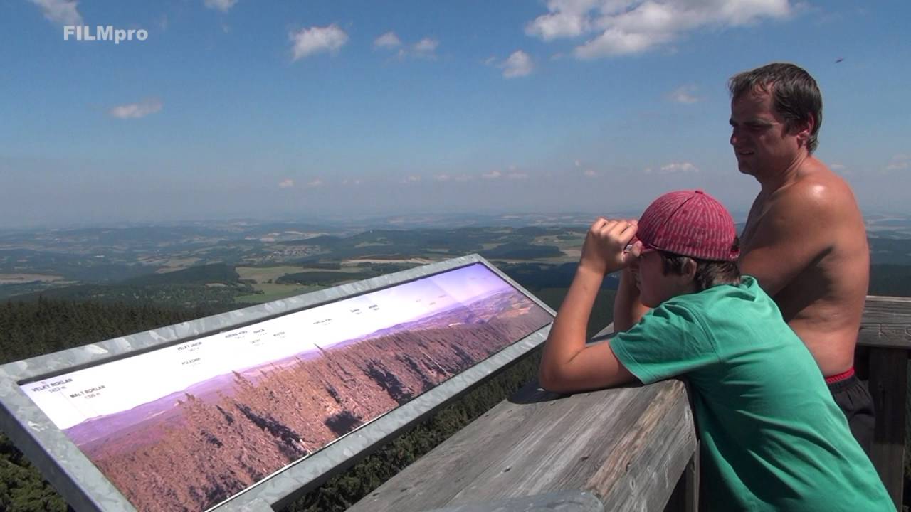 Boubínský prales na Šumavě