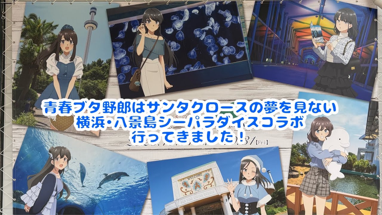 【#青ブタ】青春ブタ野郎はサンタクロースの夢を見ない 横浜八景島シーパラダイスコラボ行ってきました！