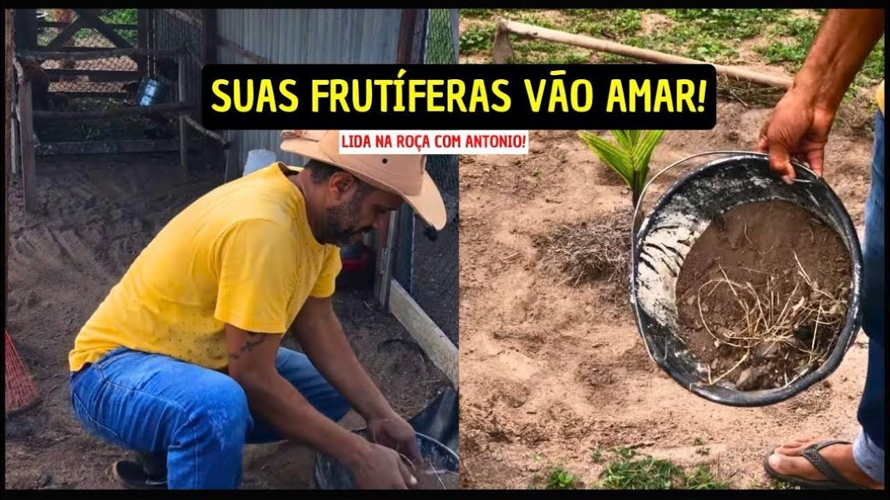 O ADUBO ORGÂNICO QUE FAZ SUA PLANTA CRESCER SAUDÁVEL!