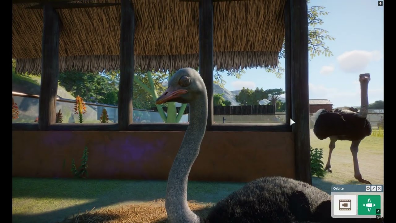 Planet Zoo Ostrich Camview
