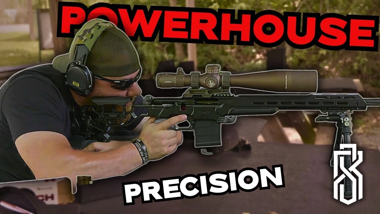 Hits Like a Hammer, Shoots Like a Scalpel: My Precision Build