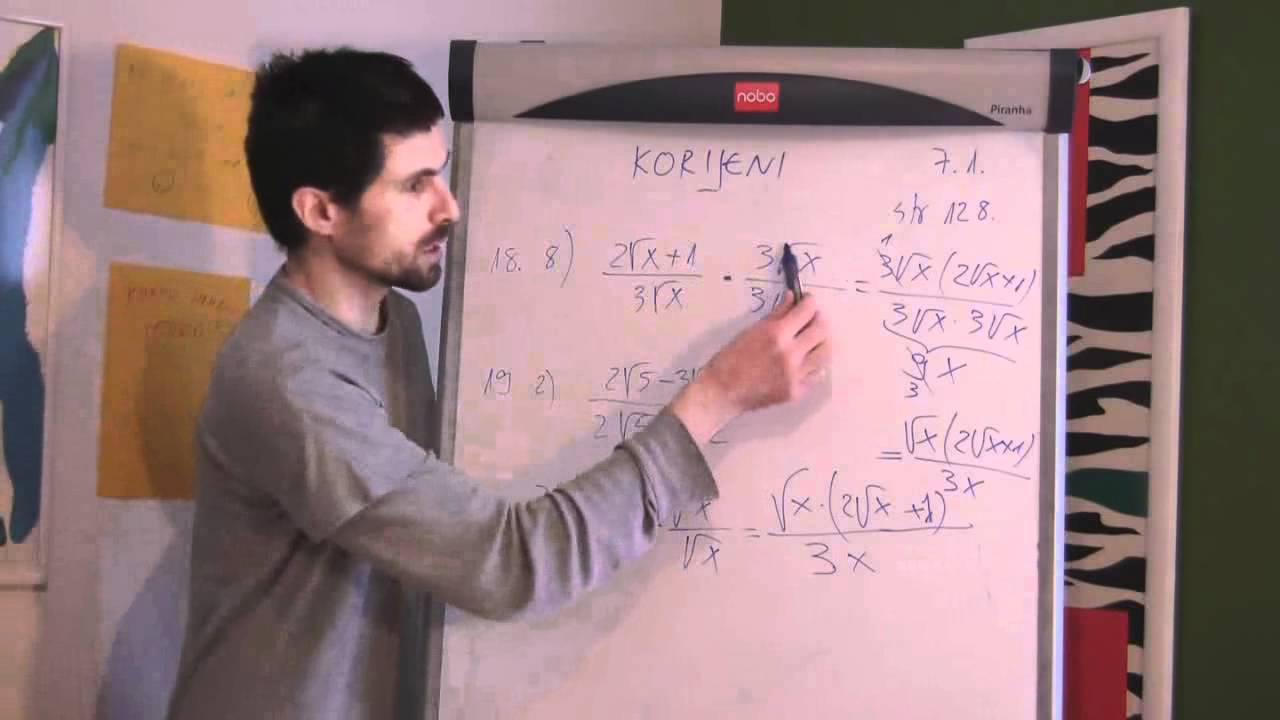 Korijeni 08