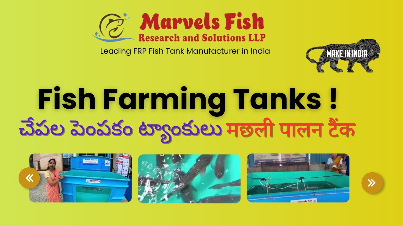 Customized Fish Farming Tanks by Marvels Fish Research Hyderabad, India.