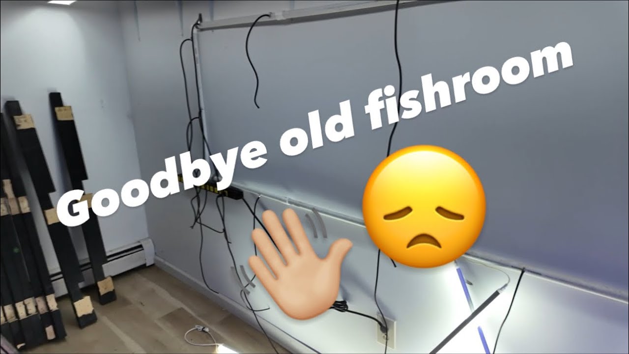 My fish room is GONE! 