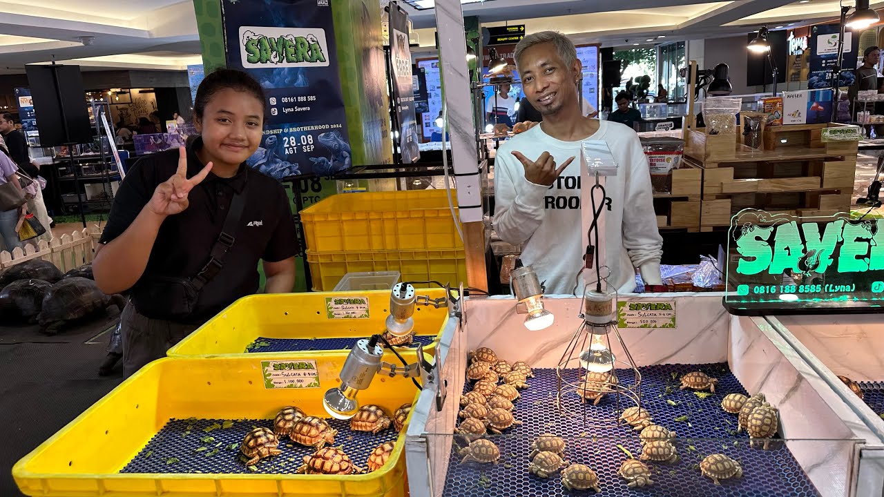 Festival Reptile 2024 Pakuwon PTC Surabaya - Part 2