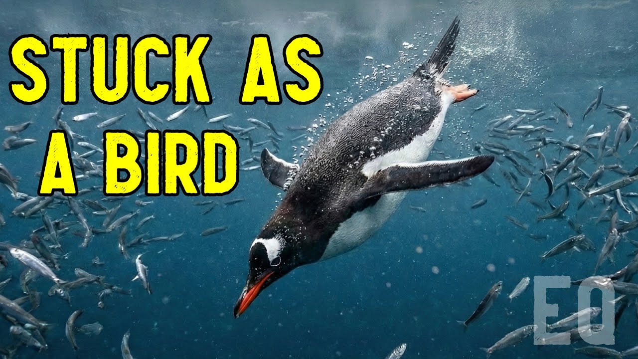 Why Evolution Stopped Halfway for Penguins