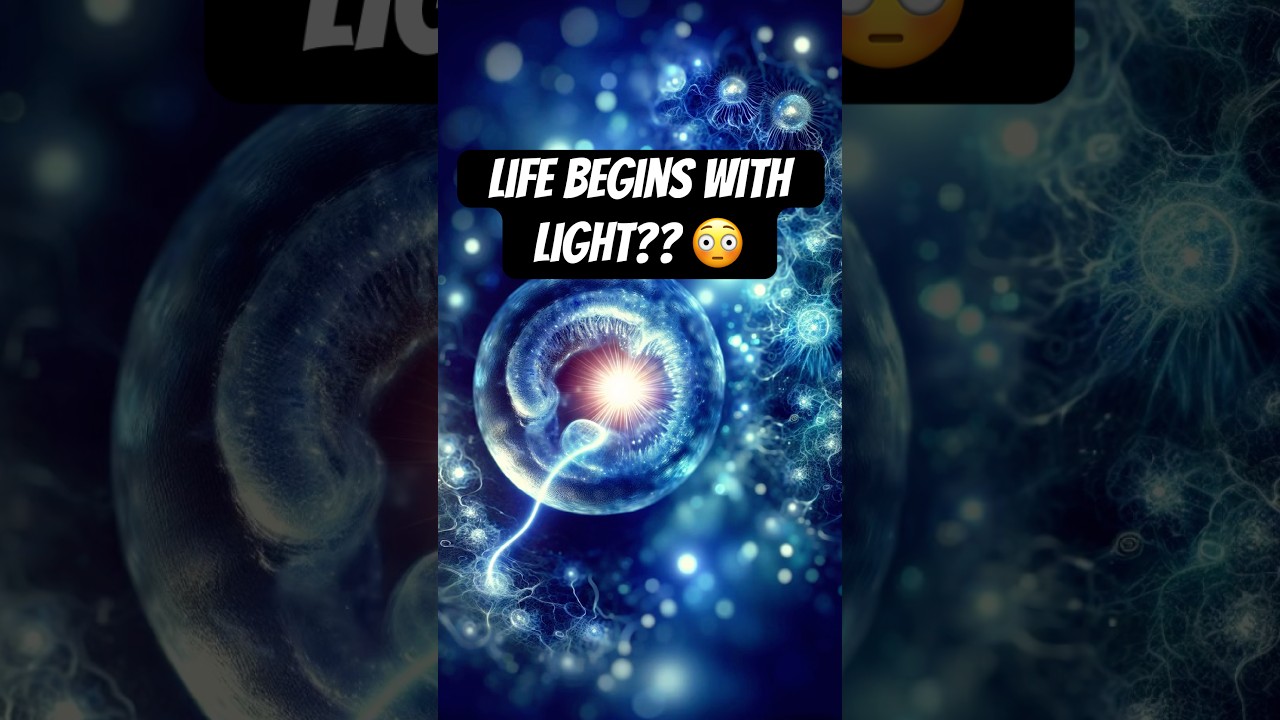 Zinc Spark 🤯 The Secret Flash That Starts Human Life #biology #sciencefacts #shorts