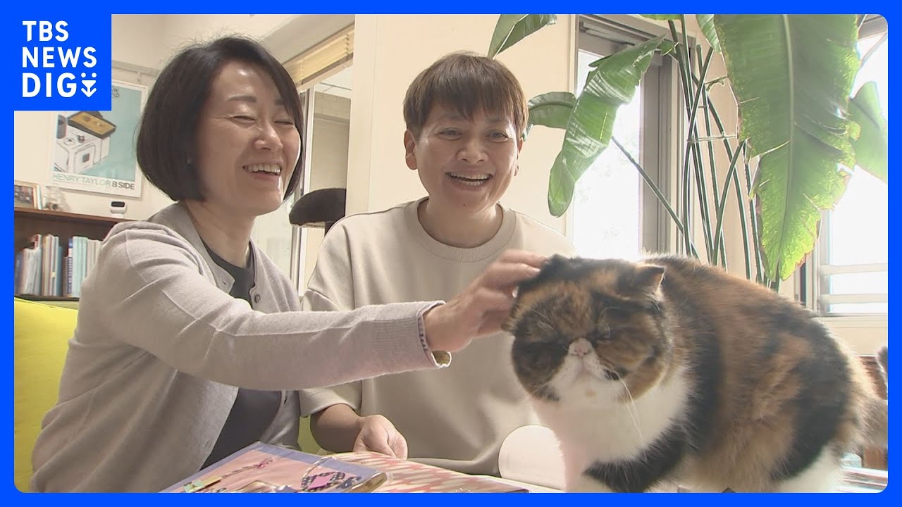 【同性カップル】「当たり前の幸せを認めて」　同性婚あす東京高裁判決 “結婚認めない民法規定は憲法違反”と訴え 「違憲判決」続くも法制化の動きなく｜TBS NEWS DIG