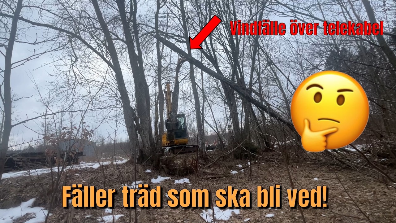 Avverkning inför vedproduktion! Svårt vindfälle där grävmaskinen räddar upp situationen.