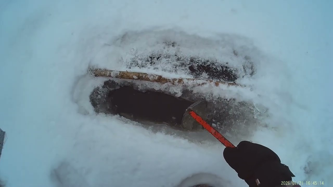 Checking the under ice BAITED foot trap at the uncatchable beaver lodge