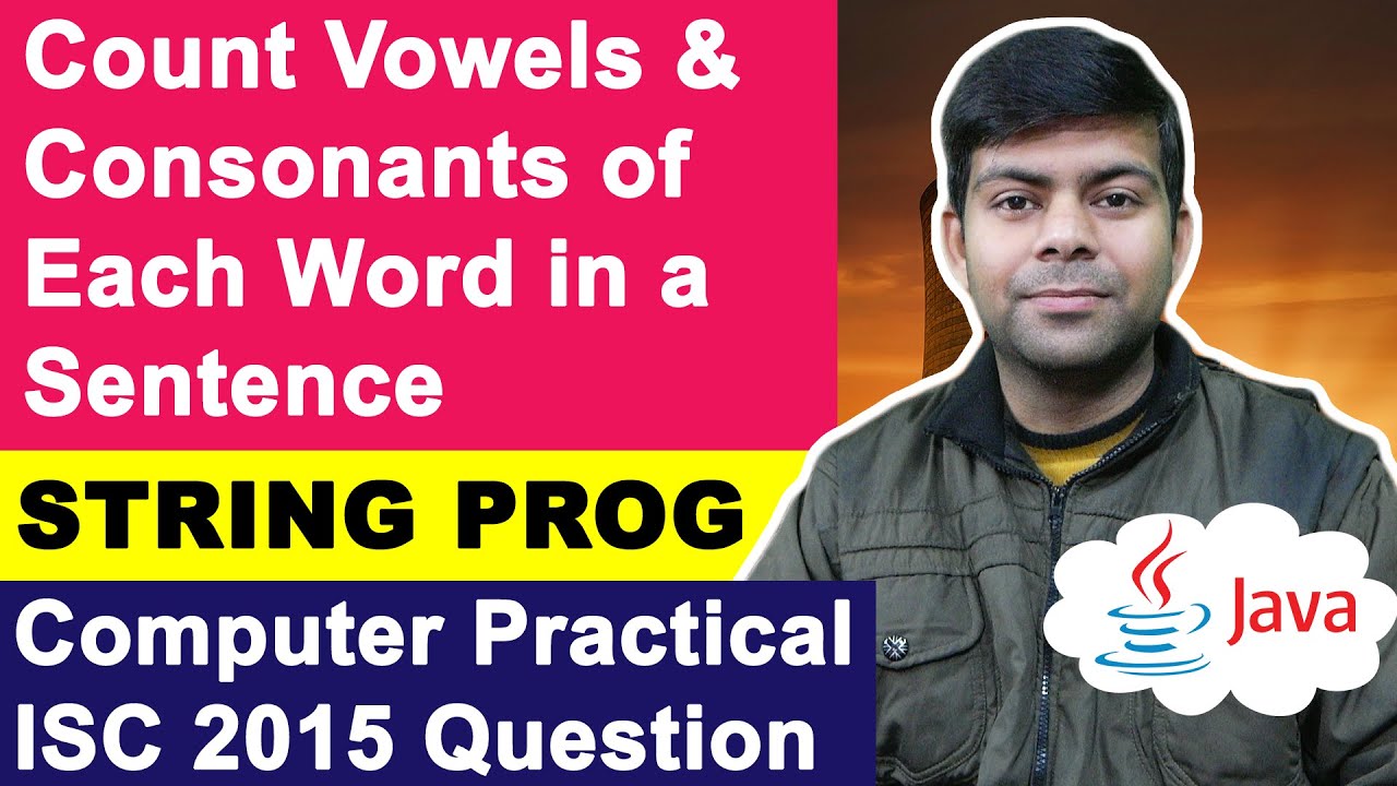 Count Vowels & Consonants of each Word in a Sentence | ISC Computer Practical 2015 | String Program