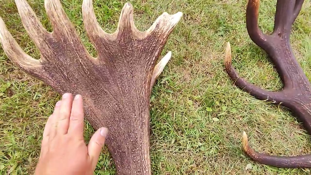 zrzuty 2024,🎉 Pierwszy Małopolski zlot pasjonatów🦌🦌🦌
