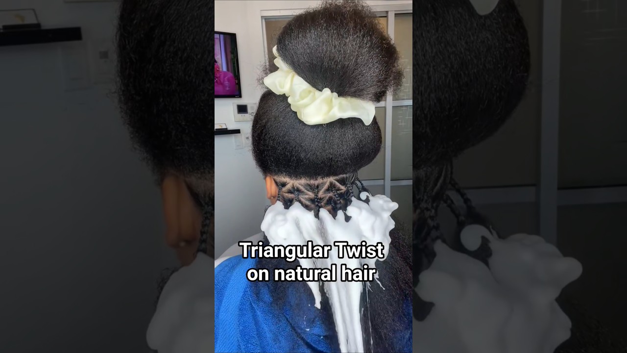 Twist on natural hair #fy #fashiontrends #hairstyle #foryou #hair