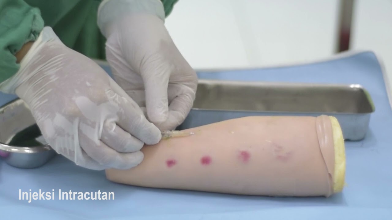 Praktikum Pemberian Obat Injeksi