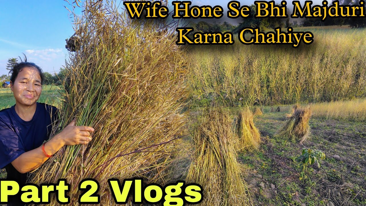 Majduri Part 2 Vlogs || Pati Ne Mana Kiya Majduri Ke Liye