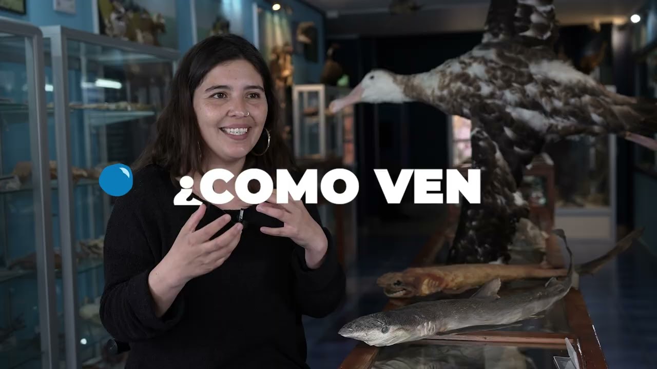 Video 4 Gestión sostenible para la conservación de la BD y el ecosistema marino de  Antofagasta