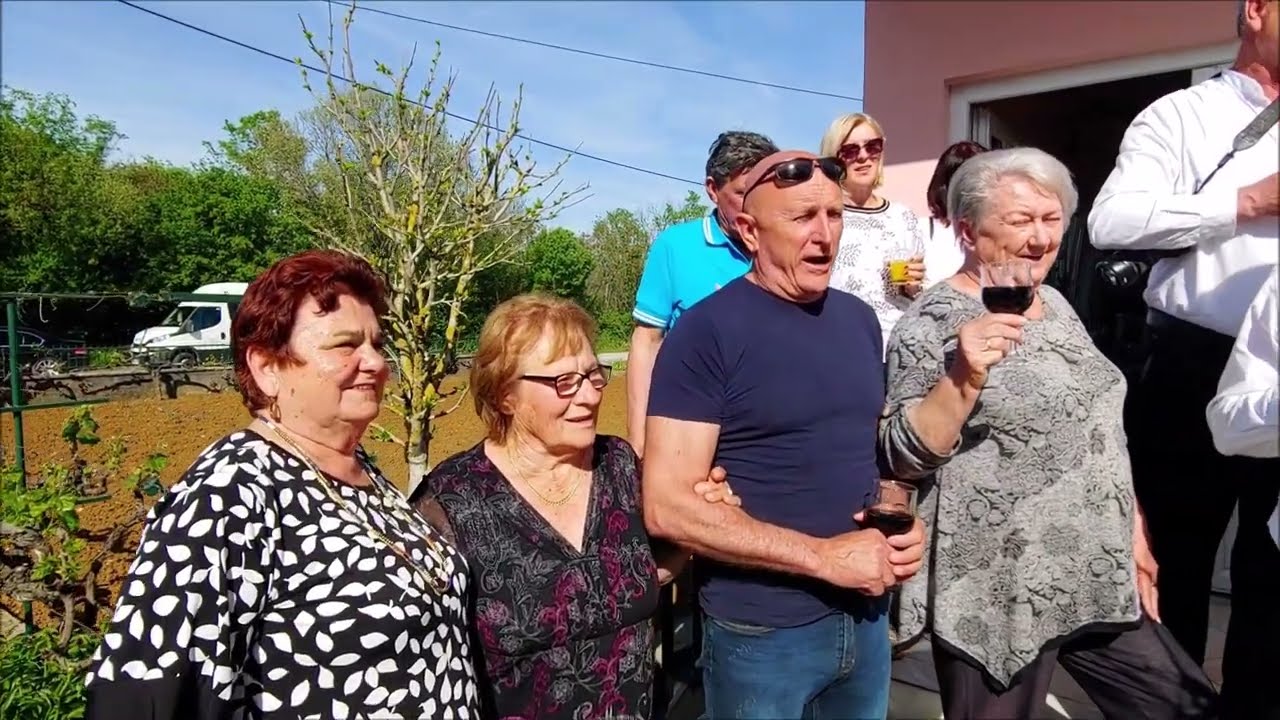 VUKŠIĆKI BEĆARI & DREAM TEAM PRIJATELJI ~ Bećarci (1080P HD )