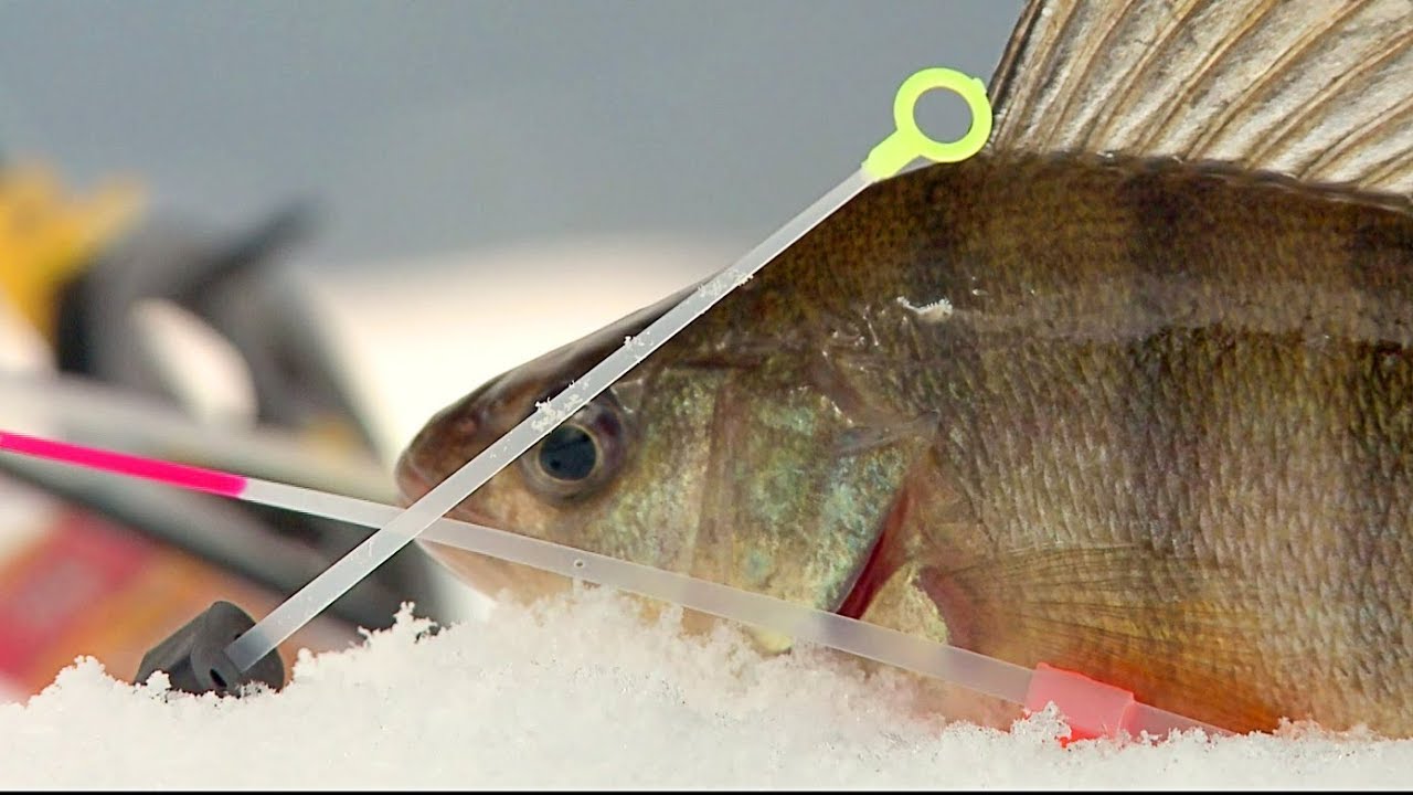 С отвесна блесна на яз. Дяково - част 1 / Ice fishing with vertical lures - part 1
