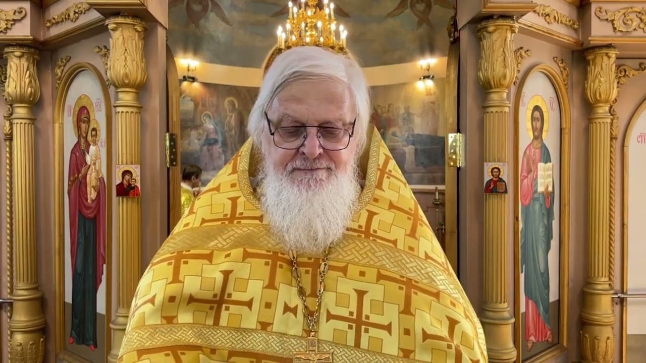 Овцы среди Волков 22 7 23