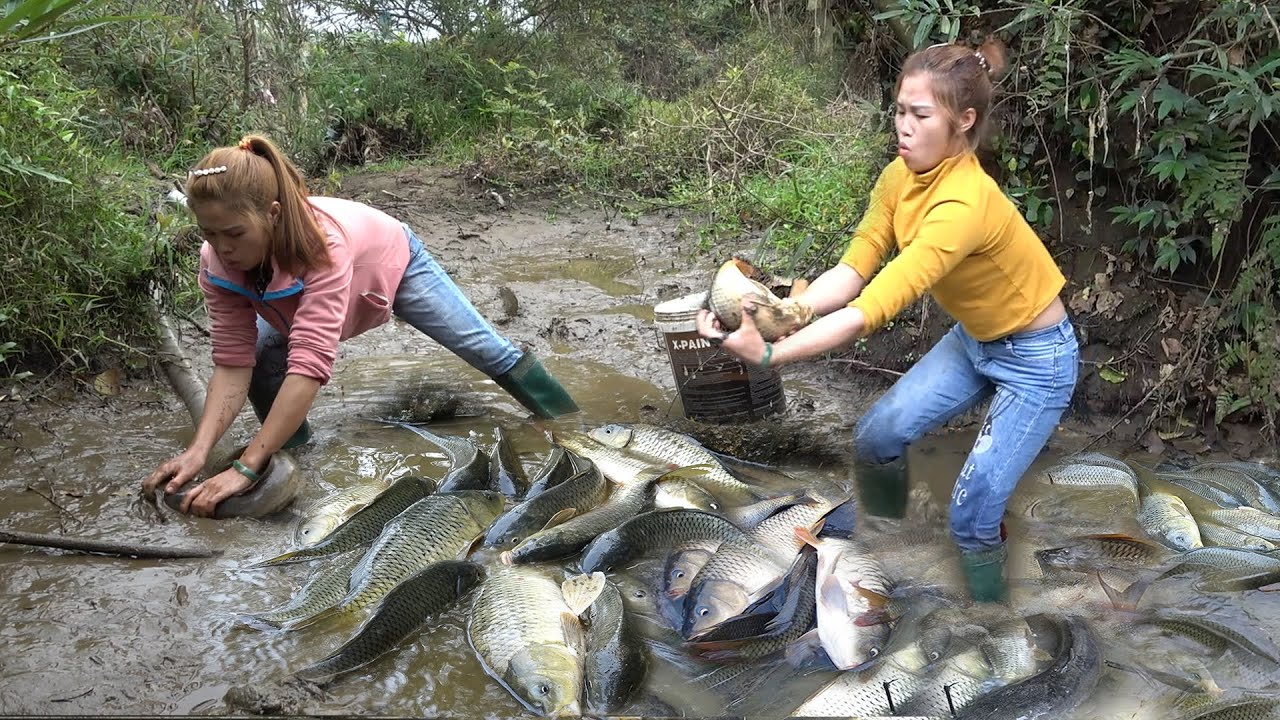 Top Videos: Fishing Technology, Unique Fishing, Survival Skill To Catch Big Fish - Fishing Exciting